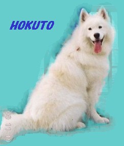 �k�l����