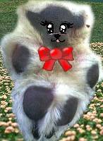 �_�C�A�i�v�j